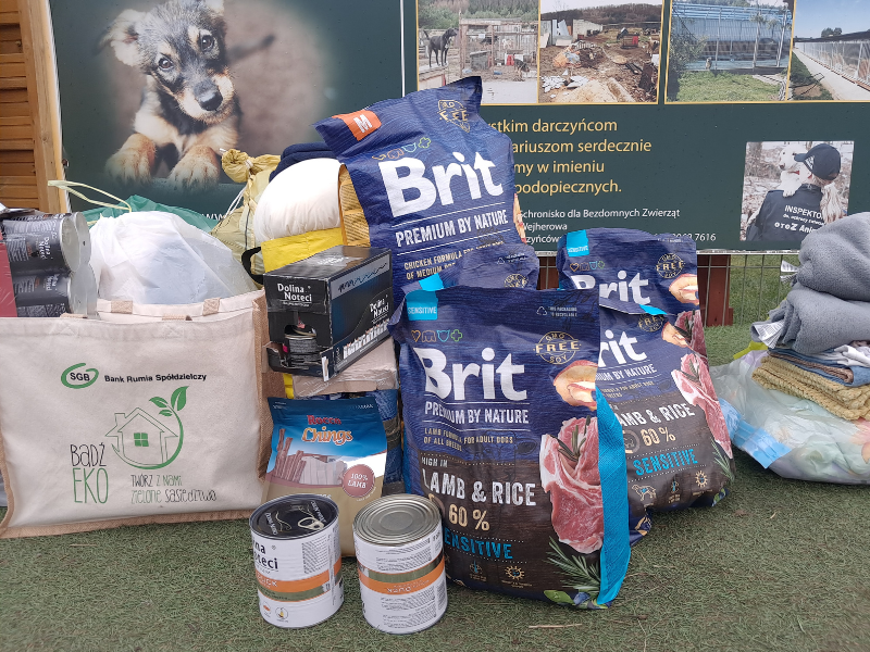 Zbiórka dla schroniska Dąbrówka 2