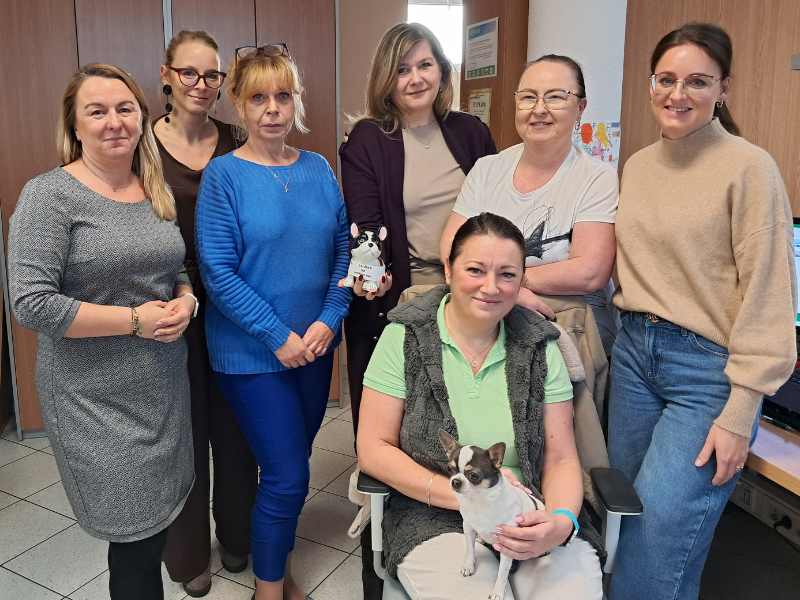 Zbiórka dla schroniska Dąbrówka 4