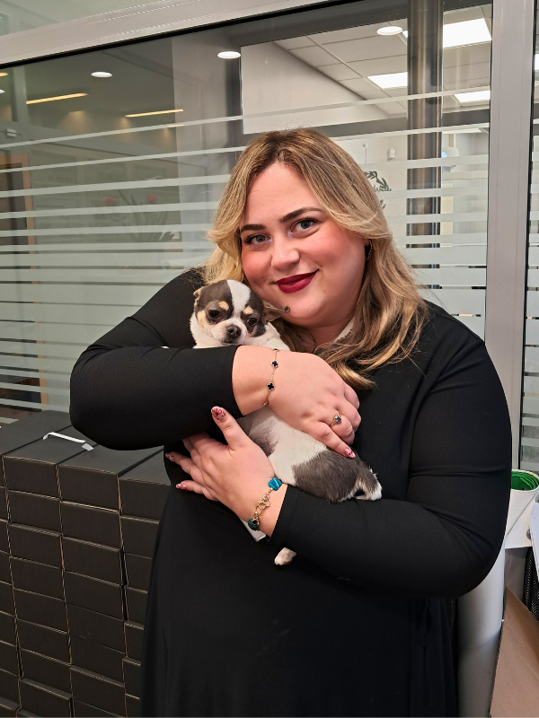 Zbiórka dla schroniska Dąbrówka 7