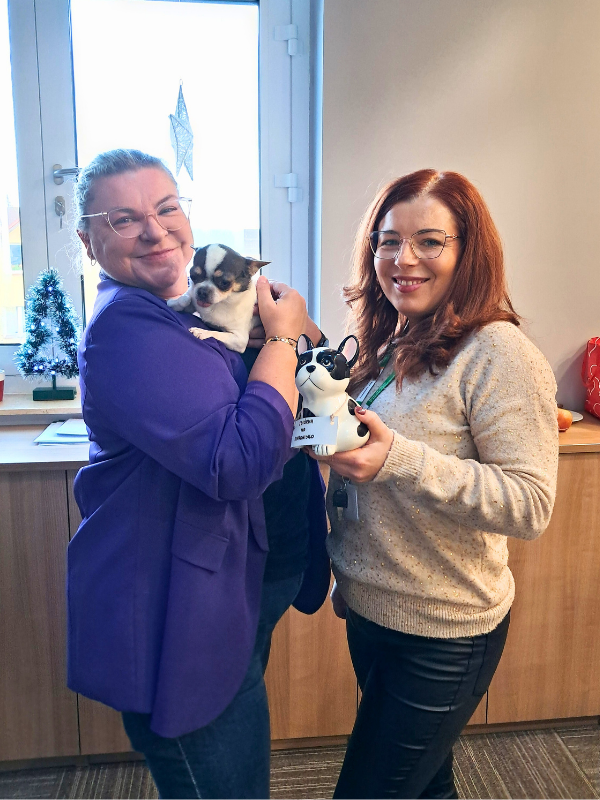 Zbiórka dla schroniska Dąbrówka 8