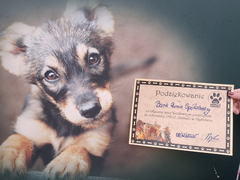 Schronisko podziękowanie